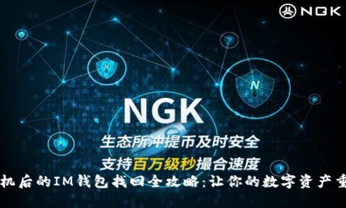 丟失手機后的IM錢包找回全攻略:讓你的數(shù)字資產(chǎn)重回掌中