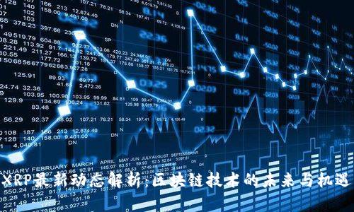 XRP最新動態(tài)解析:區(qū)塊鏈技術(shù)的未來與機遇