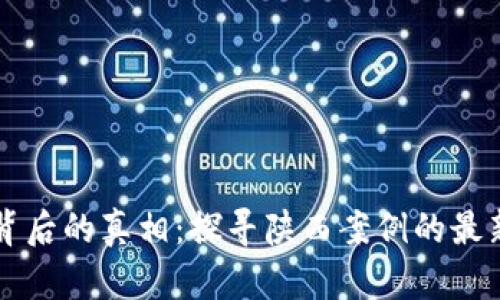 區(qū)塊鏈詐騙背后的真相:探尋陜西案例的最新進(jìn)展與啟示