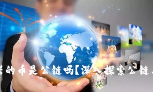 : 有區(qū)塊瀏覽器的幣是公鏈嗎？深入探索公鏈與區(qū)塊鏈的關系